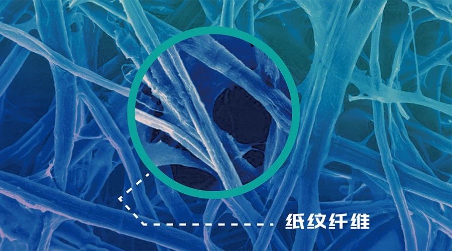 紙紋：第七代防偽技術(shù)亮相第十三屆證卡票簽安全防偽展覽會(huì)