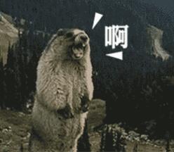 這項(xiàng)技術(shù)2017VS2019，有點(diǎn)厲害！